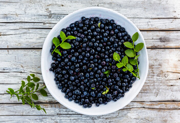 Freshly picked blueberries in a bowl on a wooden background.