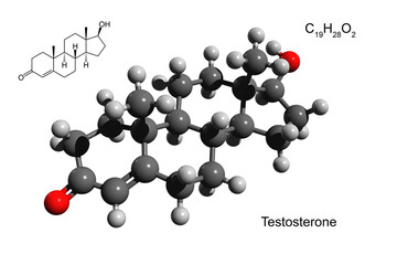 Chemical formula, structural formula and 3D ball-and-stick model of testosterone, human male sex hormone, white background