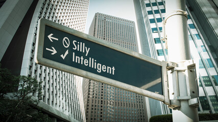 Street Sign Intelligent versus Silly