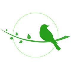 a bird