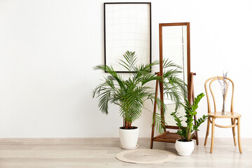 Big mirror and chair with houseplants in room