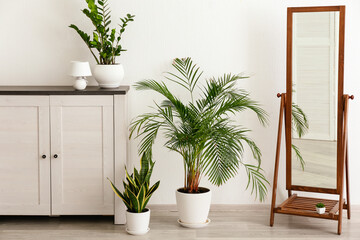 Big mirror and commode with houseplants in room