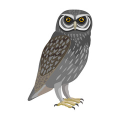 Owl bird cartoon vector illustration of icon. .Vector icon of animal owl. Isolated cartoon illustration of bird animal on white background.