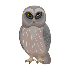 Owl bird cartoon vector illustration of icon. .Vector icon of animal owl. Isolated cartoon illustration of bird animal on white background.