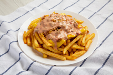 Homemade Animal Style French Fries on a white plate, side view.
