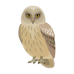 Owl bird cartoon vector illustration of icon. .Vector icon of animal owl. Isolated cartoon illustration of bird animal on white background.