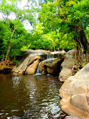 A tranquil pond with waterfall and rocks under green leaves