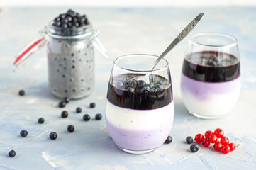 Layered blueberry dessert with cottage cheese in glasses on a concrete blue background