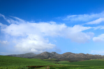 A beautiful  landscape in the Overberg