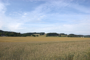 Fototapeta na wymiar Agriculture in Extertal, Germany