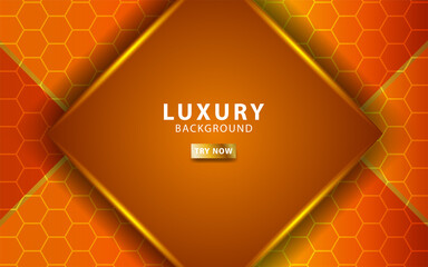 luxury abstract premium orange vector background banner with gold line.Overlap layers with paper effect.Realistic light effect on hexagon textured background.vector illustration.