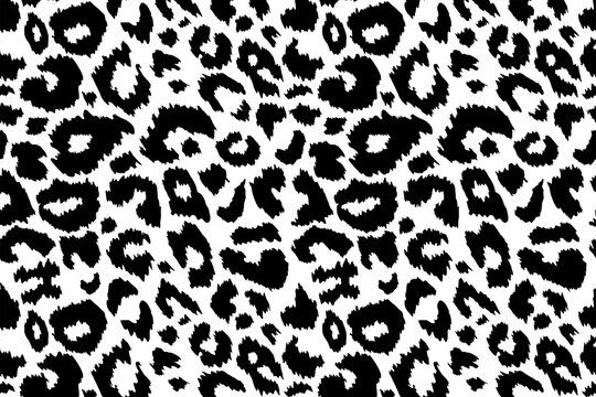 Trendy leopard pattern background. Hand drawn fashionable wild animal cheetah skin black white texture for fashion print design, banner, cover, wallpaper. Vector illustration
