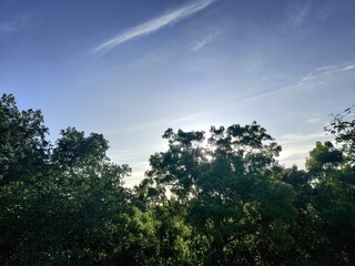 Obraz premium clouds and sun