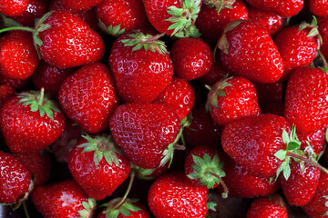 background made of many big ripe strawberries, closeup