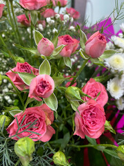 bouquet of pink roses and white flowers