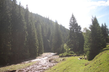 mountain road in the mountains