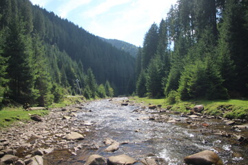 mountain river in the mountains