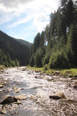 mountain river in the mountains