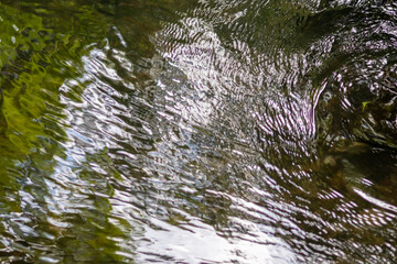 Obraz premium Calm floating creek with crystal clear water and rocks of a natural little dam or adventure hiking trail over a flat little brook in the woods as adventure tour with raindrops and waterfalls