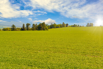 Obraz premium Scenic landscapes of agricultural meadow in dusk light.