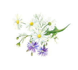 Fototapeta premium Watercolor composition of wild blue flowers and chamomile