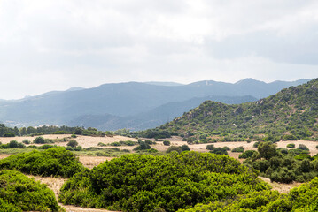 Traditional Sardinian Landscape with Hills, Low Bushes and Dry Yellow Grass.