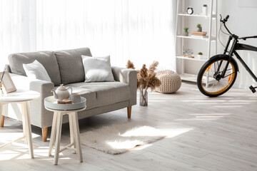 Stylish interior of room with bicycle and sofa