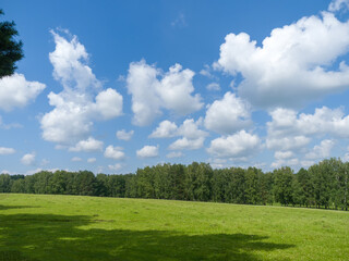 Green field and forest. Clouds in the blue sky. Summer sunny day