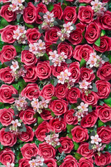 Paper roses  background image, a wall decorated with red colorful flowers.