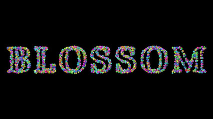 blossom: 3D illustration of the text made of small objects over a black background with shadows. beautiful and flower