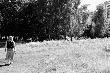 A meadow in the city center. Artistic look in black and white.