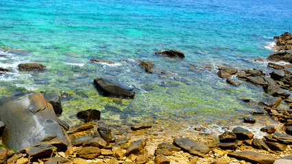 Stone reef beach with colorful sea water background for decoration on natural theme concept.