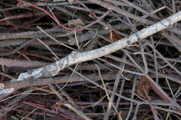Desktop background,
wall,
Brick wall,
rusty wall,
texture,
grass,
stones,
crumpled paper,
grid,
material,
metal,
a rock,
brick,
concrete
