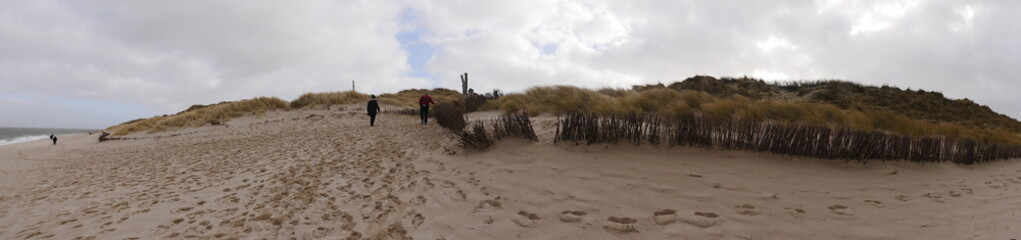 Landscape panoramic photo from a sand dune, a dense fence made of brushwood is built to protect the...