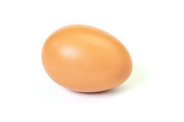 Chicken egg on white background. Brown egg on white background.