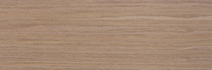 New natural oak veneer background in gentle light beige tone. Natural wood texture, pattern of a long veneer sheet.