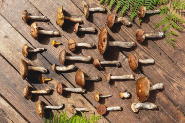 mushrooms on a wooden background. View from above