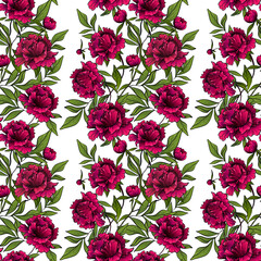 vector illustration of seamless garlands with beautiful red peony flowers and green leaves on white background
