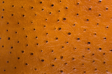 Light brown genuine ostrich leather, texture, background