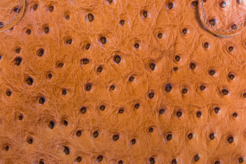 Fragment of the brown women bag made with ostrich skin