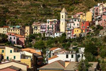 Fototapeta na wymiar Manarola - one of the cities of Cinque Terre in Italy