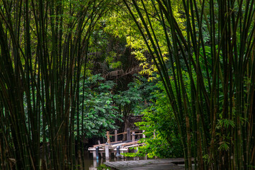 A wooden bridge over a small river or pond on the background of green trees.