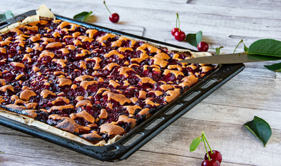 Kirschkuchen auf einen Backblech. Frisch gebacken