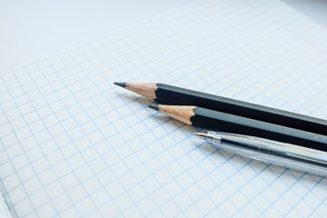 Ballpoint pen and pencils on a white blank sheet of paper in a cage.