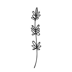 Fototapeta premium Hand drawn abstract floral sprig silhouette. Black and white outline vector illustration. Decorative branches. Spring and summer leaf icon. Doodle style.