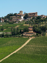 Italia,Toscana, zona del Chianti. Panzano in Chianti.