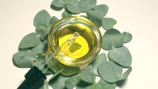Eucalyptus oil isolated. Eucalyptus oil with leaves on a white background. Cosmetics and aromatic essential oils with eucalyptus extract