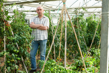 Obraz premium Portrait of confident owner of greenhouse standing near growing vegetables