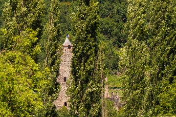 La tour du château Le Schlossberg, vue à travers les peupliers, Haut-Rhin, Alsace, France