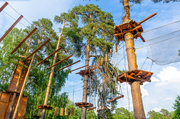 On high pines various equipment and gear for sports - ropes, slings, wooden steps, grids, platforms is fixed